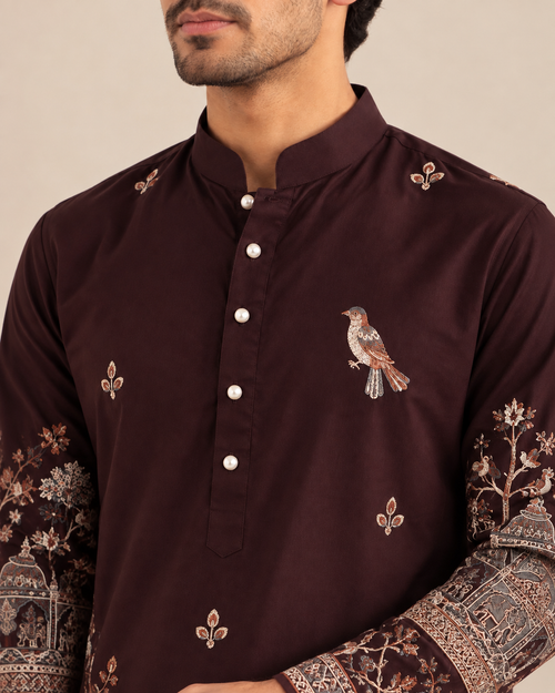 Zareen Burgundy Embroidered Kurta Set